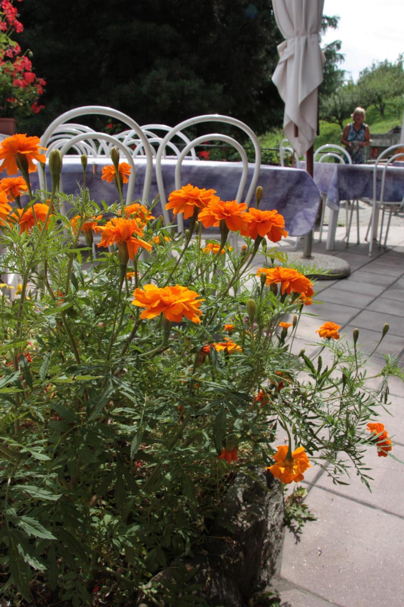 Hotel Bellevue Gignod Luaran gambar